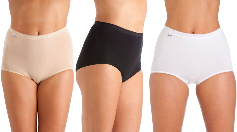 3 Pack La Marquise Ladies Maxi Briefs Plain Size 12 - 22